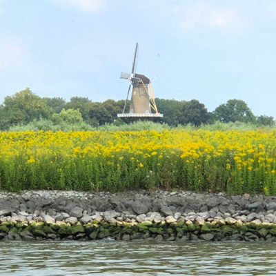 Picturesque Kinderdyk Windmills