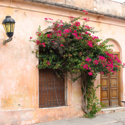 Historic Colonia del Sacramento